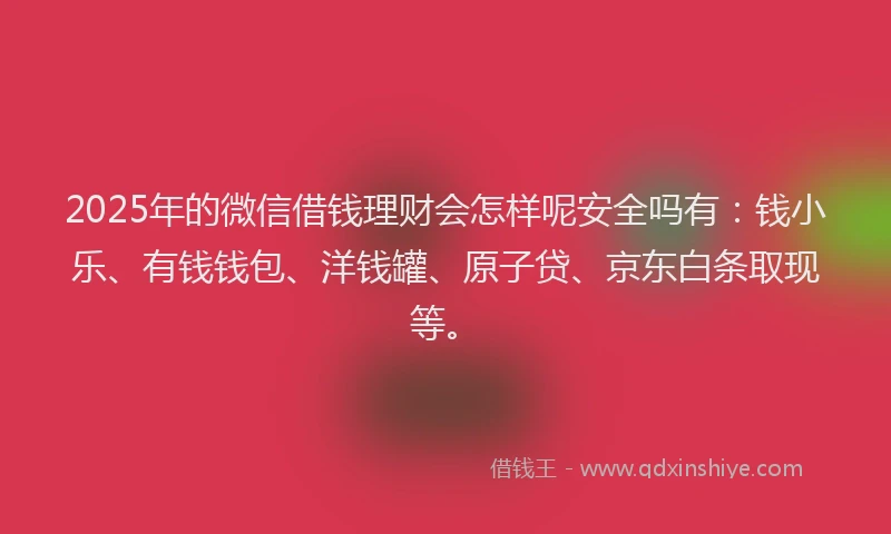 2025年的微信借钱理财会怎样呢安全吗有：钱小乐、有钱钱包、洋钱罐、原子贷、京东白条取现等。