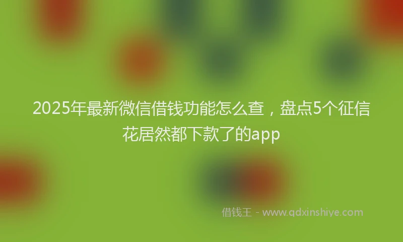 2025年最新微信借钱功能怎么查，盘点5个征信花居然都下款了的app