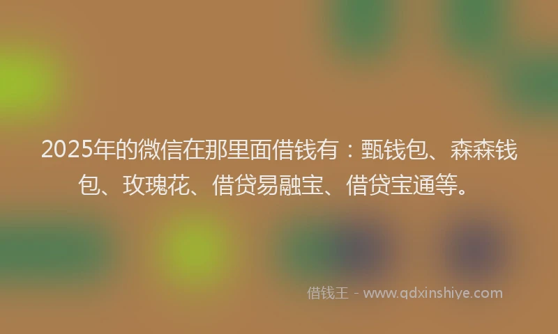 2025年的微信在那里面借钱有：甄钱包、森森钱包、玫瑰花、借贷易融宝、借贷宝通等。