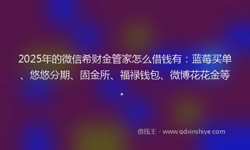2025年的微信希财金管家怎么借钱有：蓝莓买单、悠悠分期、固金所、福禄钱包、微博花花金等。