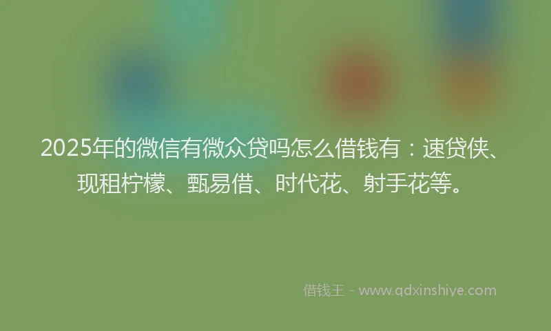 2025年的微信有微众贷吗怎么借钱有：速贷侠、现租柠檬、甄易借、时代花、射手花等。