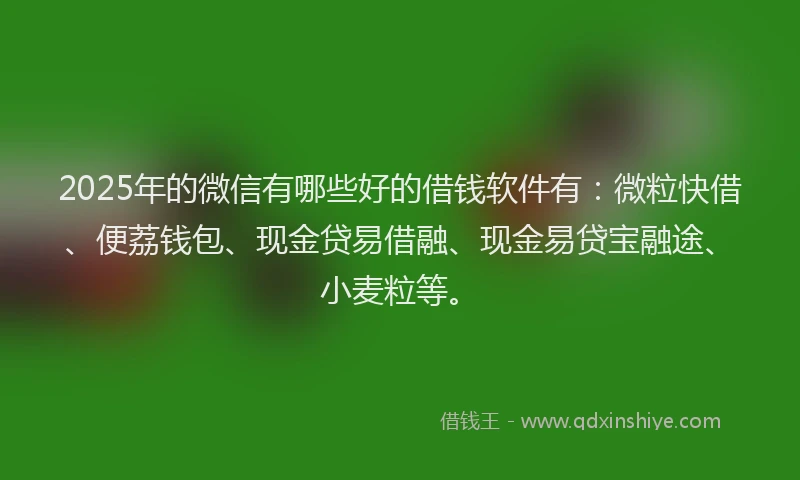 2025年的微信有哪些好的借钱软件有：微粒快借、便荔钱包、现金贷易借融、现金易贷宝融途、小麦粒等。