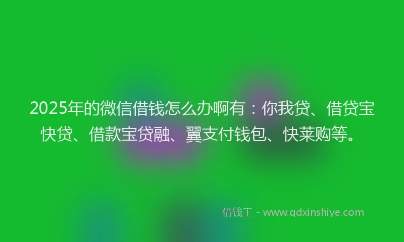 2025年的微信借钱怎么办啊有：你我贷、借贷宝快贷、借款宝贷融、翼支付钱包、快莱购等。