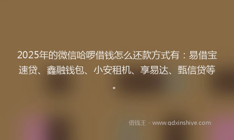 2025年的微信哈啰借钱怎么还款方式有：易借宝速贷、鑫融钱包、小安租机、享易达、甄信贷等。