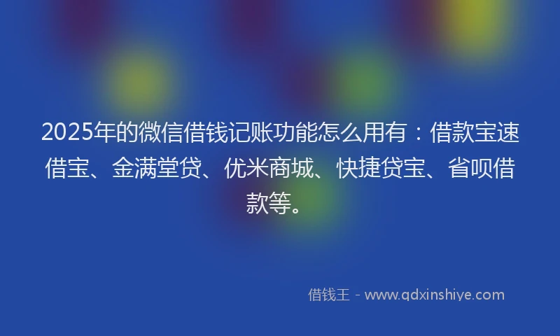 2025年的微信借钱记账功能怎么用有：借款宝速借宝、金满堂贷、优米商城、快捷贷宝、省呗借款等。