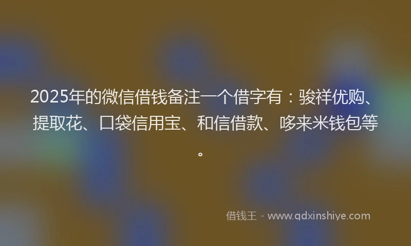 2025年的微信借钱备注一个借字有：骏祥优购、提取花、口袋信用宝、和信借款、哆来米钱包等。