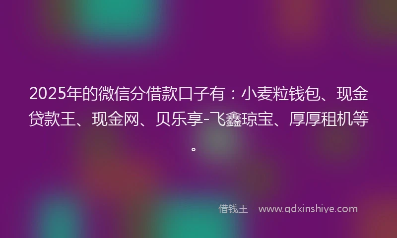 2025年的微信分借款口子有：小麦粒钱包、现金贷款王、现金网、贝乐享-飞鑫琼宝、厚厚租机等。