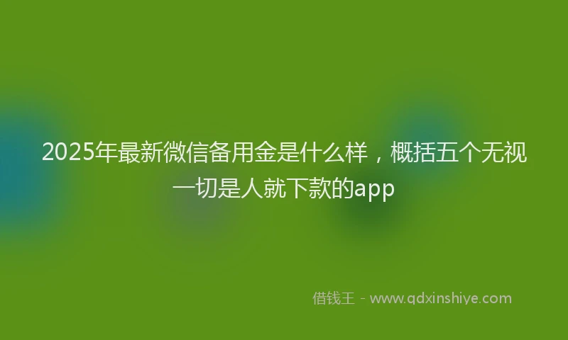 2025年最新微信备用金是什么样，概括五个无视一切是人就下款的app