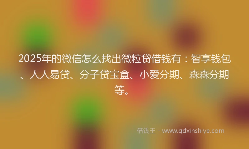2025年的微信怎么找出微粒贷借钱有:智享钱包、人人易贷、分子贷宝盒、小爱分期、森森分期等。