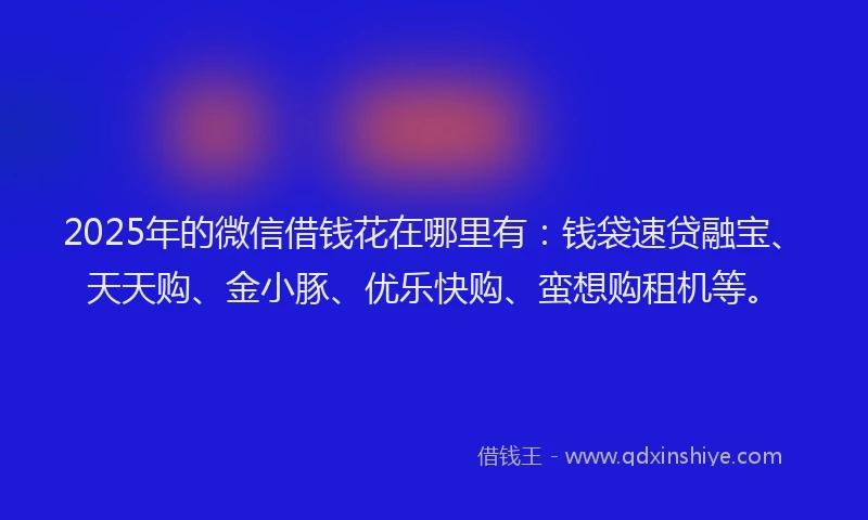 2025年的微信借钱花在哪里有：钱袋速贷融宝、天天购、金小豚、优乐快购、蛮想购租机等。