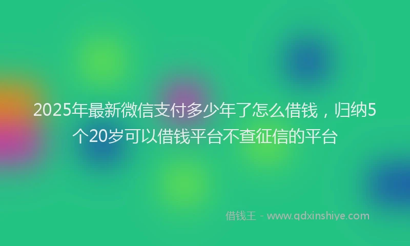 2025年最新微信支付多少年了怎么借钱，归纳5个20岁可以借钱平台不查征信的平台