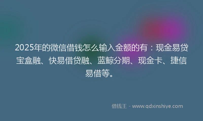 2025年的微信借钱怎么输入金额的有：现金易贷宝盒融、快易借贷融、蓝鲸分期、现金卡、捷信易借等。