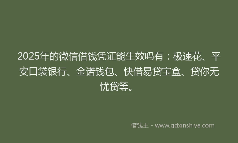 2025年的微信借钱凭证能生效吗有：极速花、平安口袋银行、金诺钱包、快借易贷宝盒、贷你无忧贷等。
