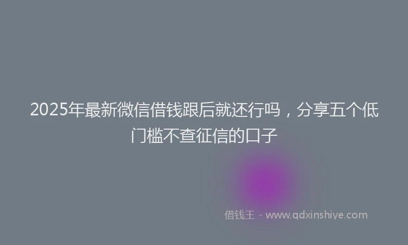 2025年最新微信借钱跟后就还行吗，分享五个低门槛不查征信的口子