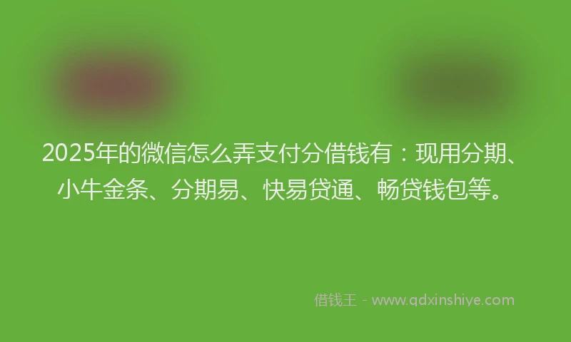 2025年的微信怎么弄支付分借钱有：现用分期、小牛金条、分期易、快易贷通、畅贷钱包等。