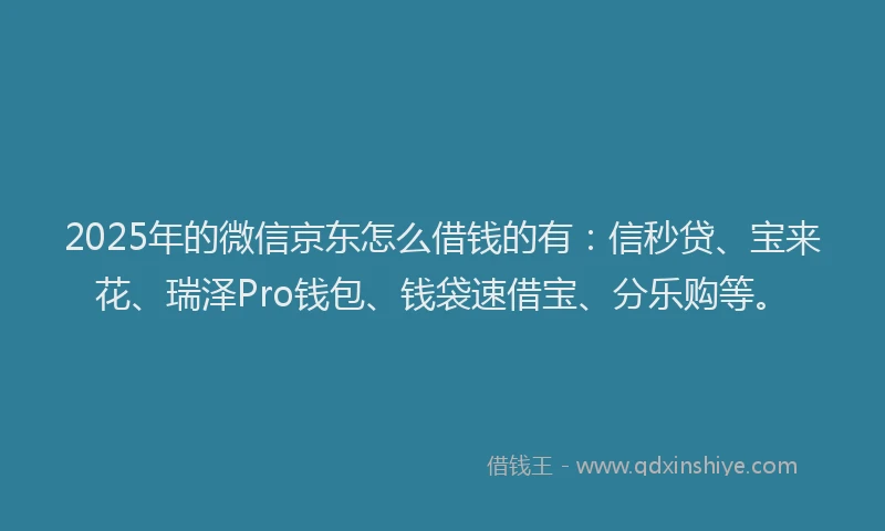 2025年的微信京东怎么借钱的有：信秒贷、宝来花、瑞泽Pro钱包、钱袋速借宝、分乐购等。