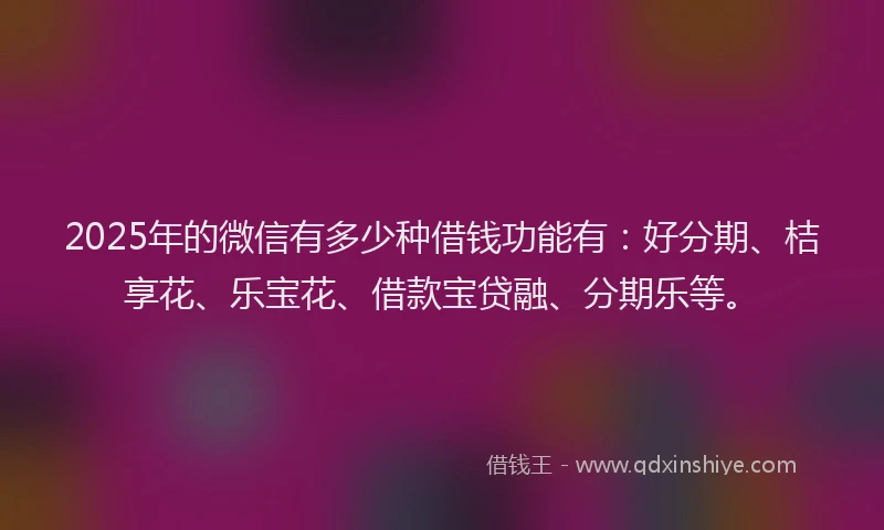 2025年的微信有多少种借钱功能有：好分期、桔享花、乐宝花、借款宝贷融、分期乐等。