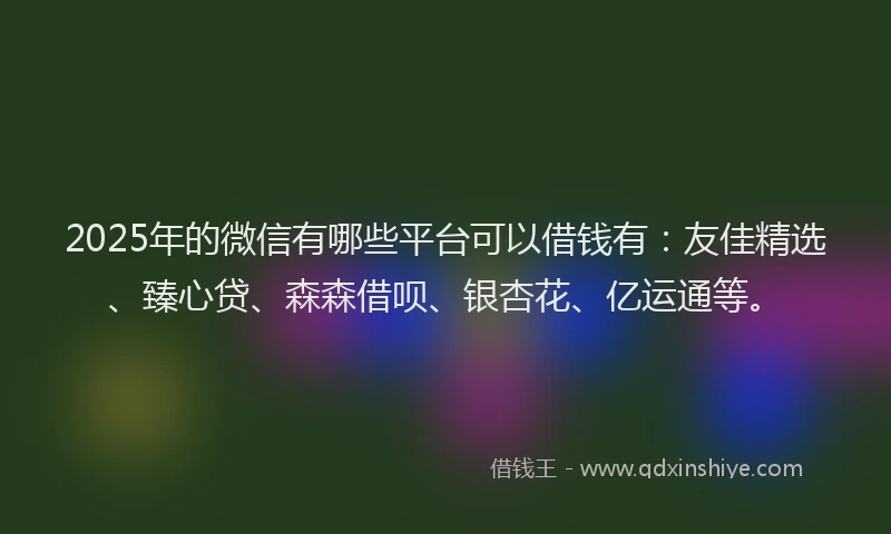 2025年的微信有哪些平台可以借钱有：友佳精选、臻心贷、森森借呗、银杏花、亿运通等。