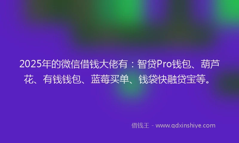 2025年的微信借钱大佬有：智贷Pro钱包、葫芦花、有钱钱包、蓝莓买单、钱袋快融贷宝等。