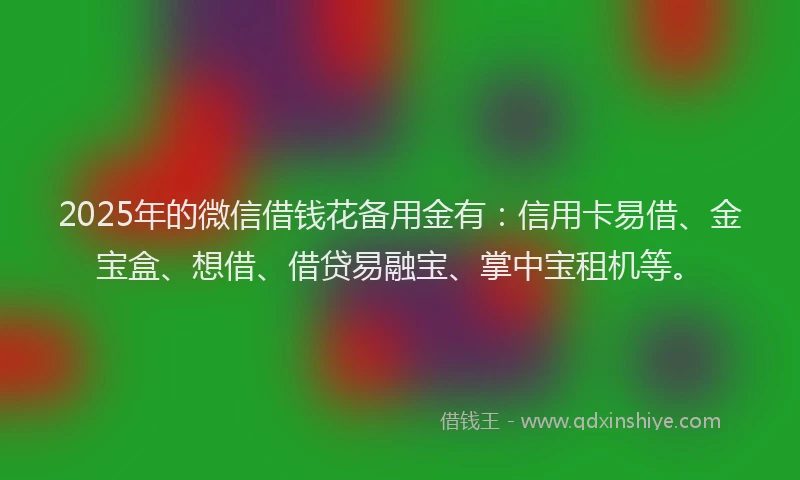 2025年的微信借钱花备用金有：信用卡易借、金宝盒、想借、借贷易融宝、掌中宝租机等。