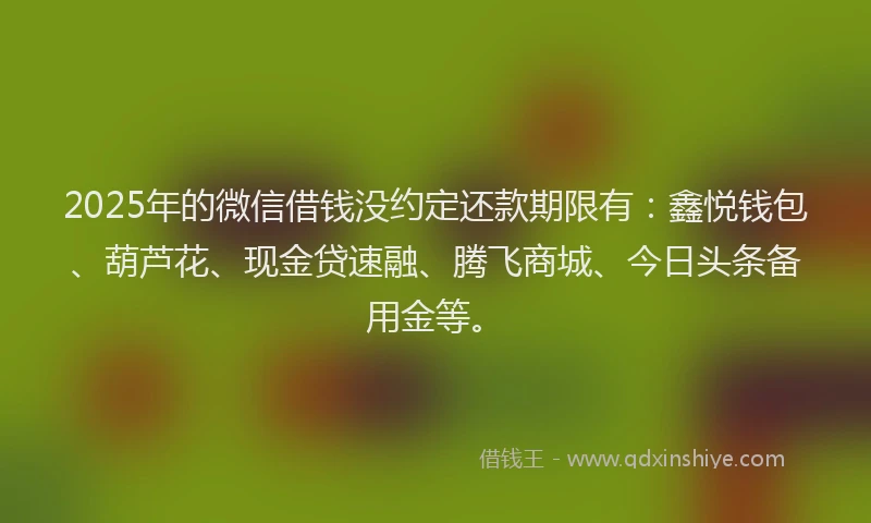 2025年的微信借钱没约定还款期限有：鑫悦钱包、葫芦花、现金贷速融、腾飞商城、今日头条备用金等。
