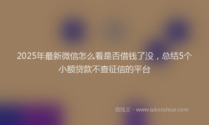 2025年最新微信怎么看是否借钱了没，总结5个小额贷款不查征信的平台