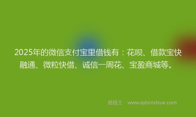 2025年的微信支付宝里借钱有：花呗、借款宝快融通、微粒快借、诚信一周花、宝盈商城等。