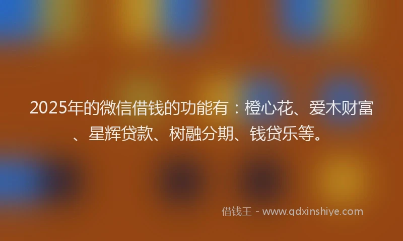 2025年的微信借钱的功能有：橙心花、爱木财富、星辉贷款、树融分期、钱贷乐等。