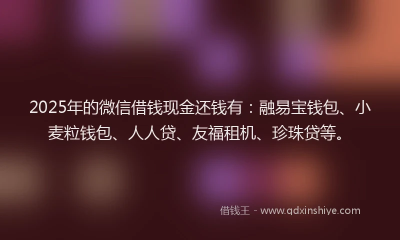 2025年的微信借钱现金还钱有：融易宝钱包、小麦粒钱包、人人贷、友福租机、珍珠贷等。