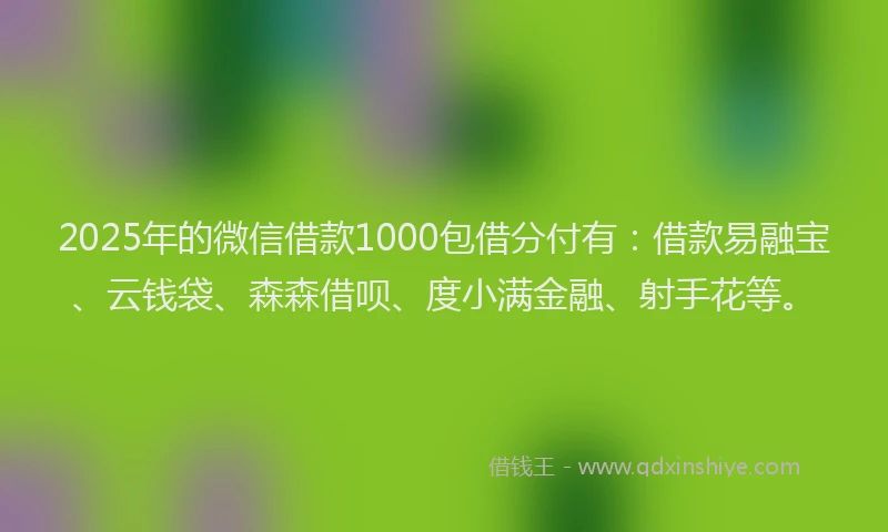 2025年的微信借款1000包借分付有：借款易融宝、云钱袋、森森借呗、度小满金融、射手花等。