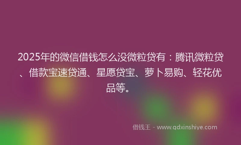 2025年的微信借钱怎么没微粒贷有：腾讯微粒贷、借款宝速贷通、星愿贷宝、萝卜易购、轻花优品等。