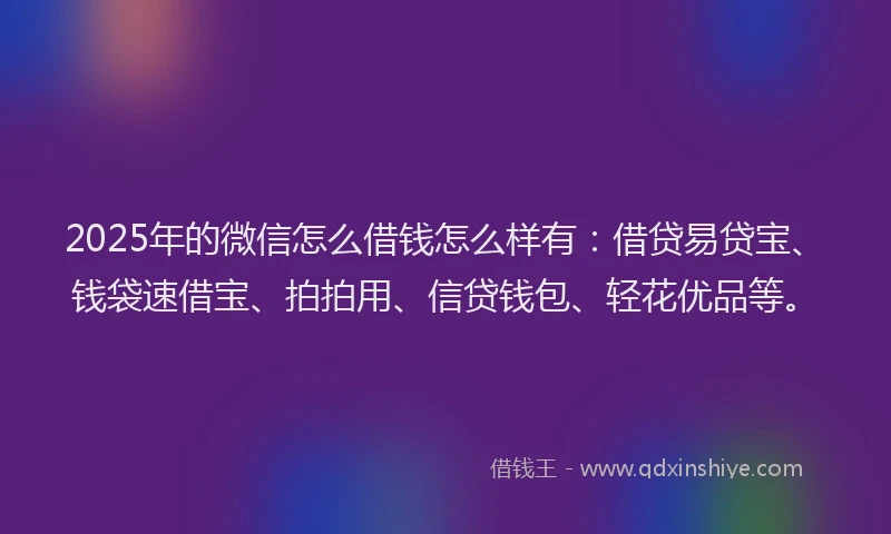2025年的微信怎么借钱怎么样有：借贷易贷宝、钱袋速借宝、拍拍用、信贷钱包、轻花优品等。