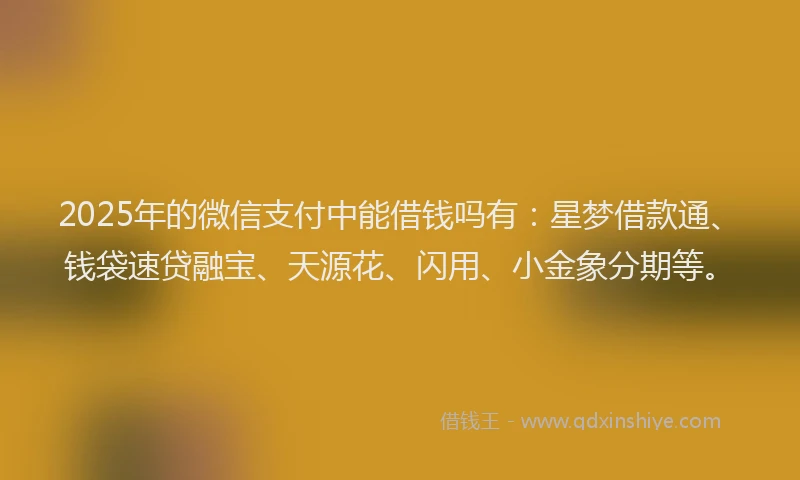2025年的微信支付中能借钱吗有：星梦借款通、钱袋速贷融宝、天源花、闪用、小金象分期等。