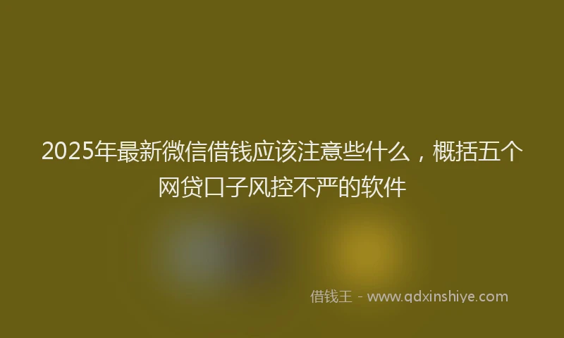 2025年最新微信借钱应该注意些什么，概括五个网贷口子风控不严的软件