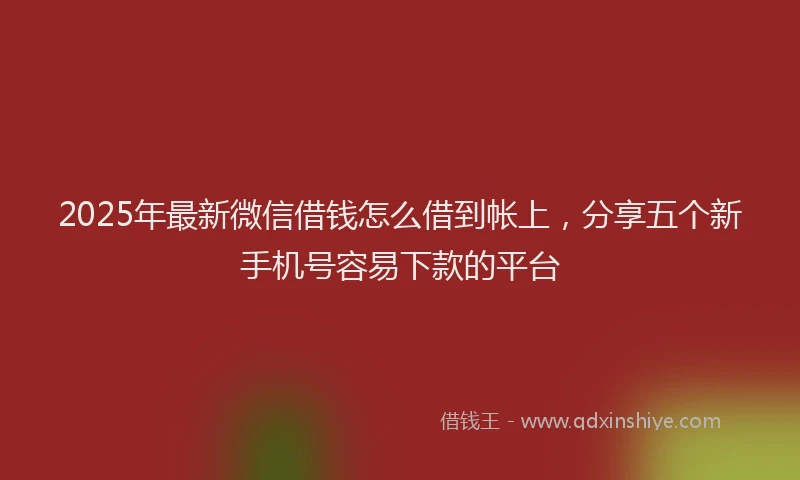 2025年最新微信借钱怎么借到帐上，分享五个新手机号容易下款的平台