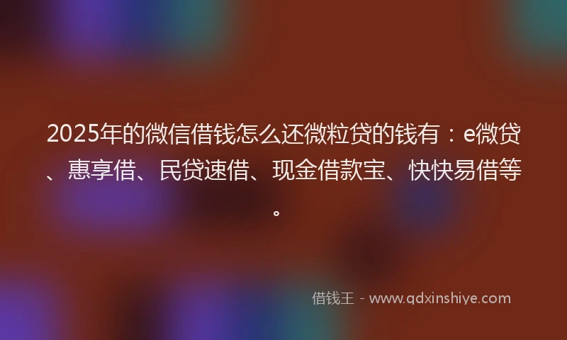 2025年的微信借钱怎么还微粒贷的钱有：e微贷、惠享借、民贷速借、现金借款宝、快快易借等。