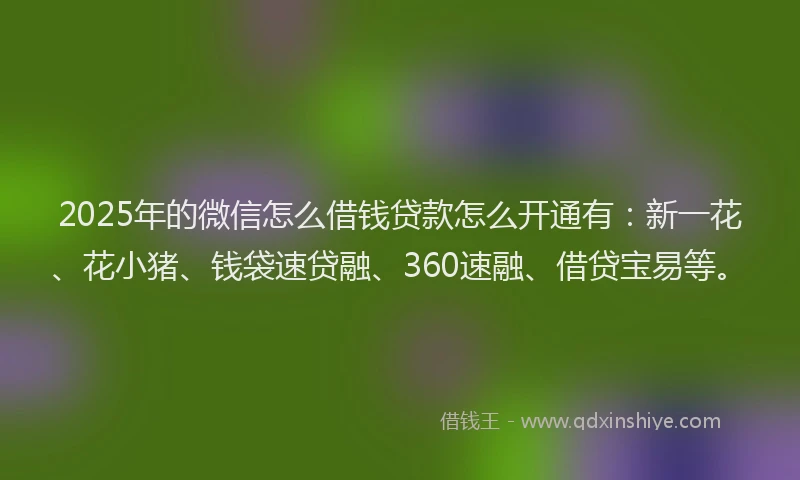 2025年的微信怎么借钱贷款怎么开通有：新一花、花小猪、钱袋速贷融、360速融、借贷宝易等。