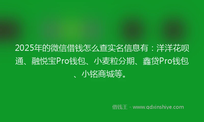 2025年的微信借钱怎么查实名信息有：洋洋花呗通、融悦宝Pro钱包、小麦粒分期、鑫贷Pro钱包、小铭商城等。