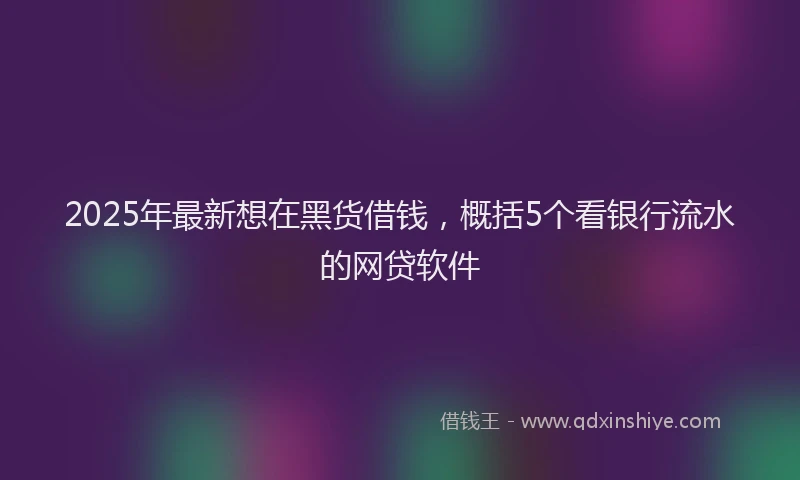 2025年最新想在黑货借钱，概括5个看银行流水的网贷软件