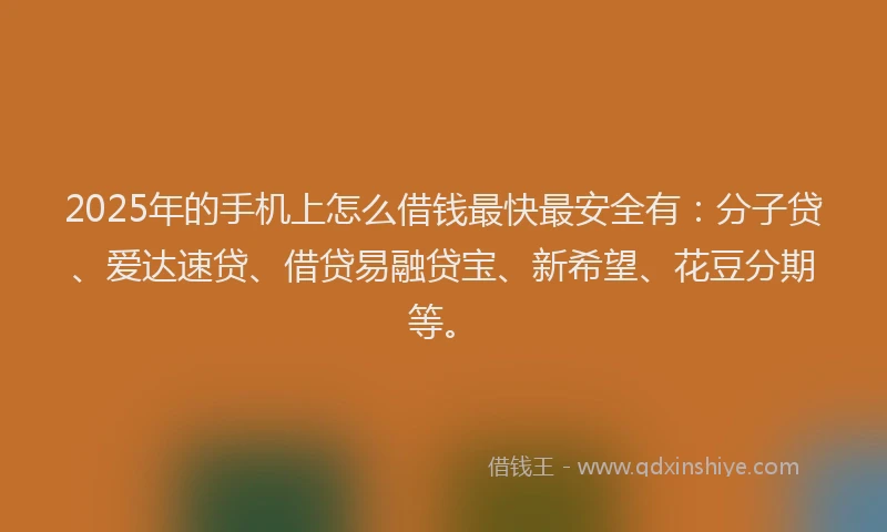 2025年的手机上怎么借钱最快最安全有：分子贷、爱达速贷、借贷易融贷宝、新希望、花豆分期等。