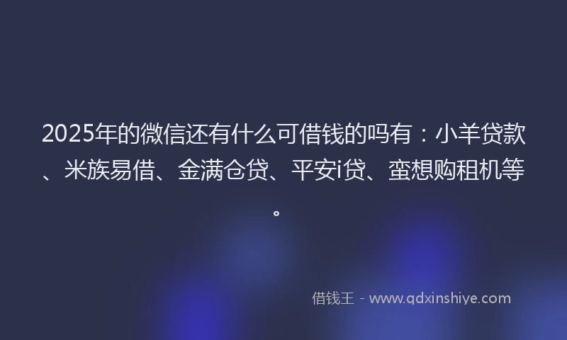 2025年的微信还有什么可借钱的吗有：小羊贷款、米族易借、金满仓贷、平安i贷、蛮想购租机等。