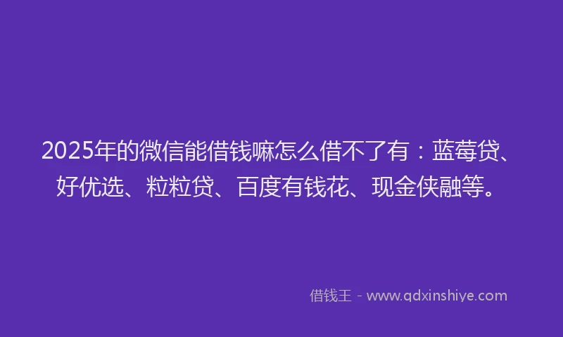 2025年的微信能借钱嘛怎么借不了有：蓝莓贷、好优选、粒粒贷、百度有钱花、现金侠融等。