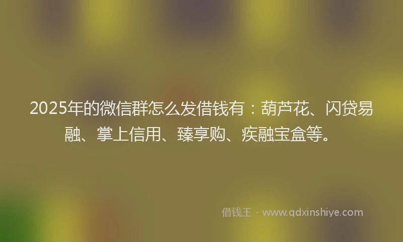 2025年的微信群怎么发借钱有：葫芦花、闪贷易融、掌上信用、臻享购、疾融宝盒等。