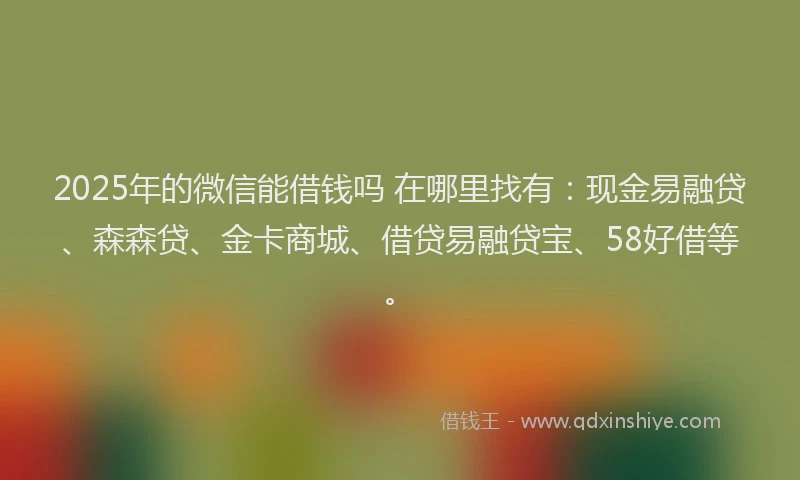 2025年的微信能借钱吗 在哪里找有：现金易融贷、森森贷、金卡商城、借贷易融贷宝、58好借等。