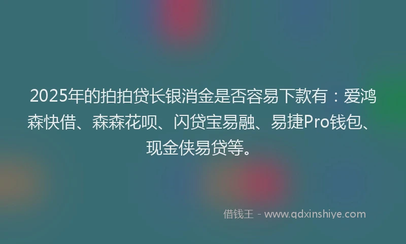 2025年的拍拍贷长银消金是否容易下款有：爱鸿森快借、森森花呗、闪贷宝易融、易捷Pro钱包、现金侠易贷等。