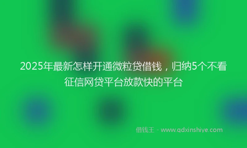 2025年最新怎样开通微粒贷借钱，归纳5个不看征信网贷平台放款快的平台