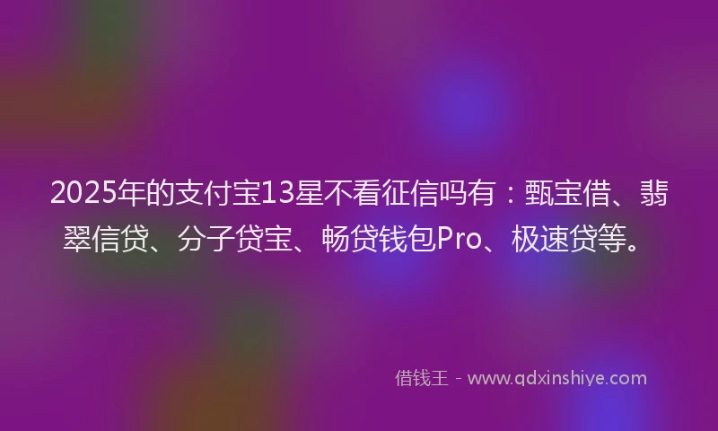 2025年的支付宝13星不看征信吗有：甄宝借、翡翠信贷、分子贷宝、畅贷钱包Pro、极速贷等。