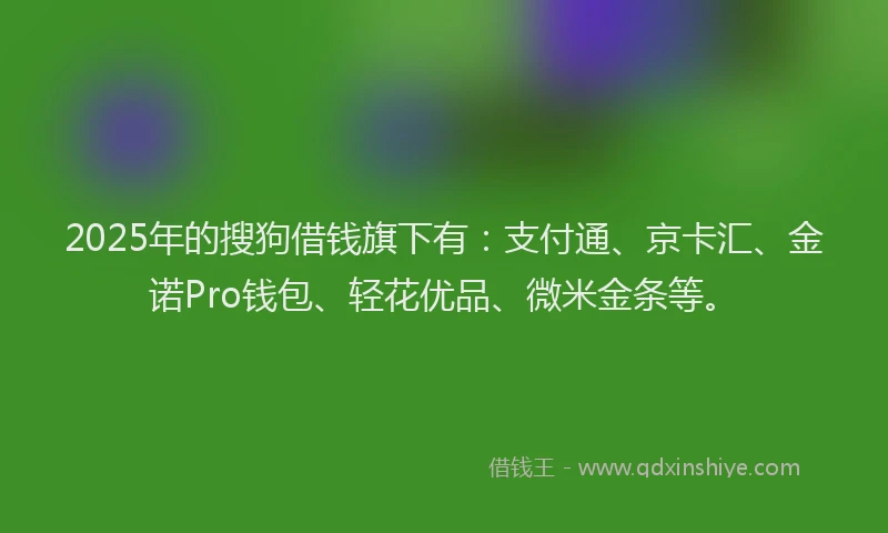 2025年的搜狗借钱旗下有：支付通、京卡汇、金诺Pro钱包、轻花优品、微米金条等。
