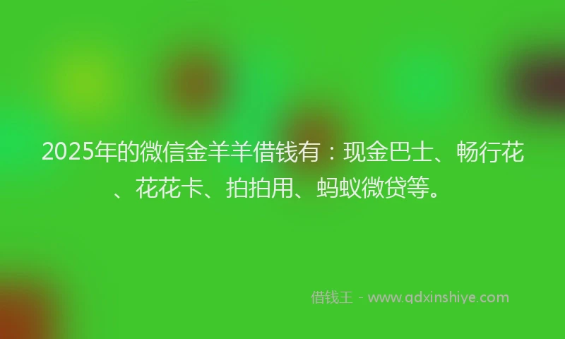 2025年的微信金羊羊借钱有：现金巴士、畅行花、花花卡、拍拍用、蚂蚁微贷等。