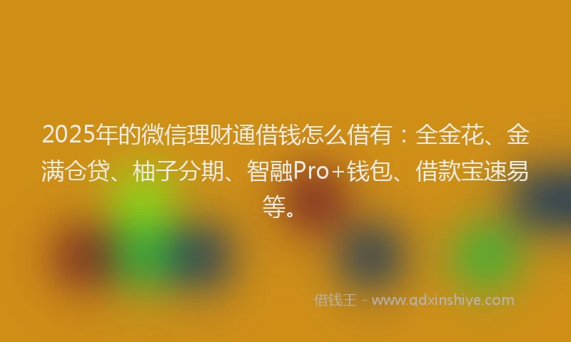 2025年的微信理财通借钱怎么借有：全金花、金满仓贷、柚子分期、智融Pro+钱包、借款宝速易等。